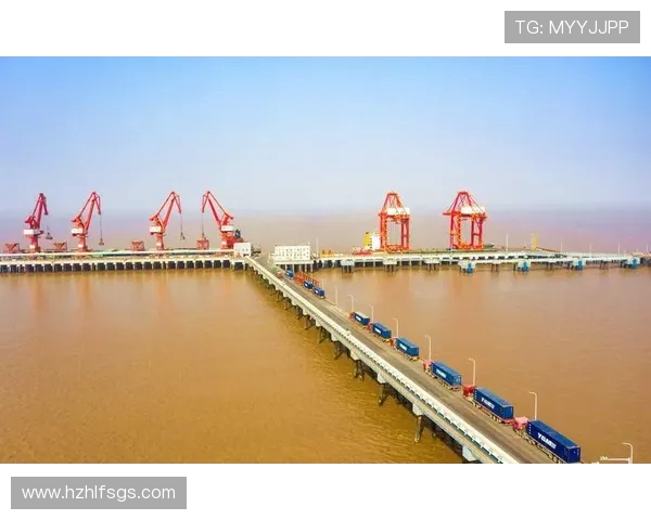 盐城大丰港战队勇夺冠军背后的故事与辉煌历程解析 盐城大丰港战队勇夺冠军背后的故事与辉煌历程解析