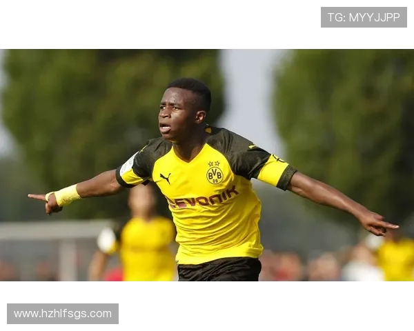 哈兰德：从天才少年到足球巨星的辉煌蜕变之路